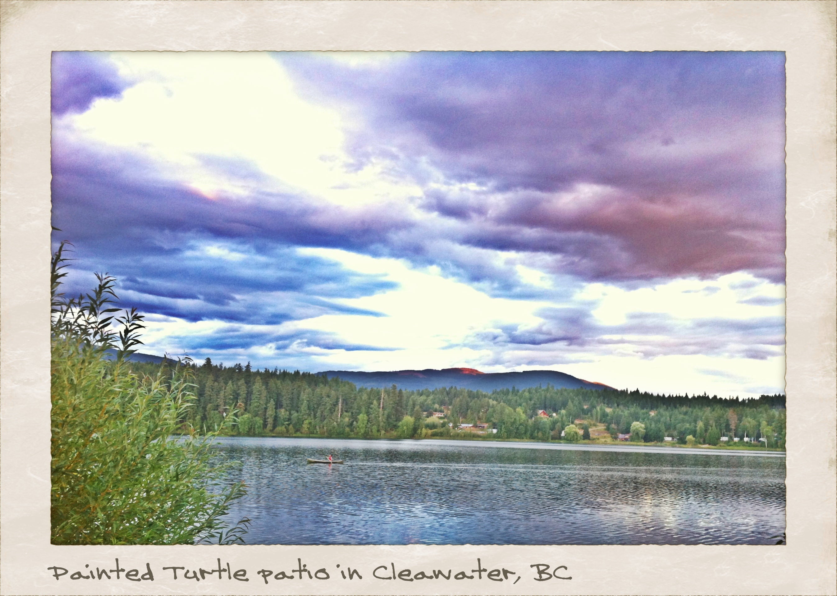 The Painted Turtle Restaurant