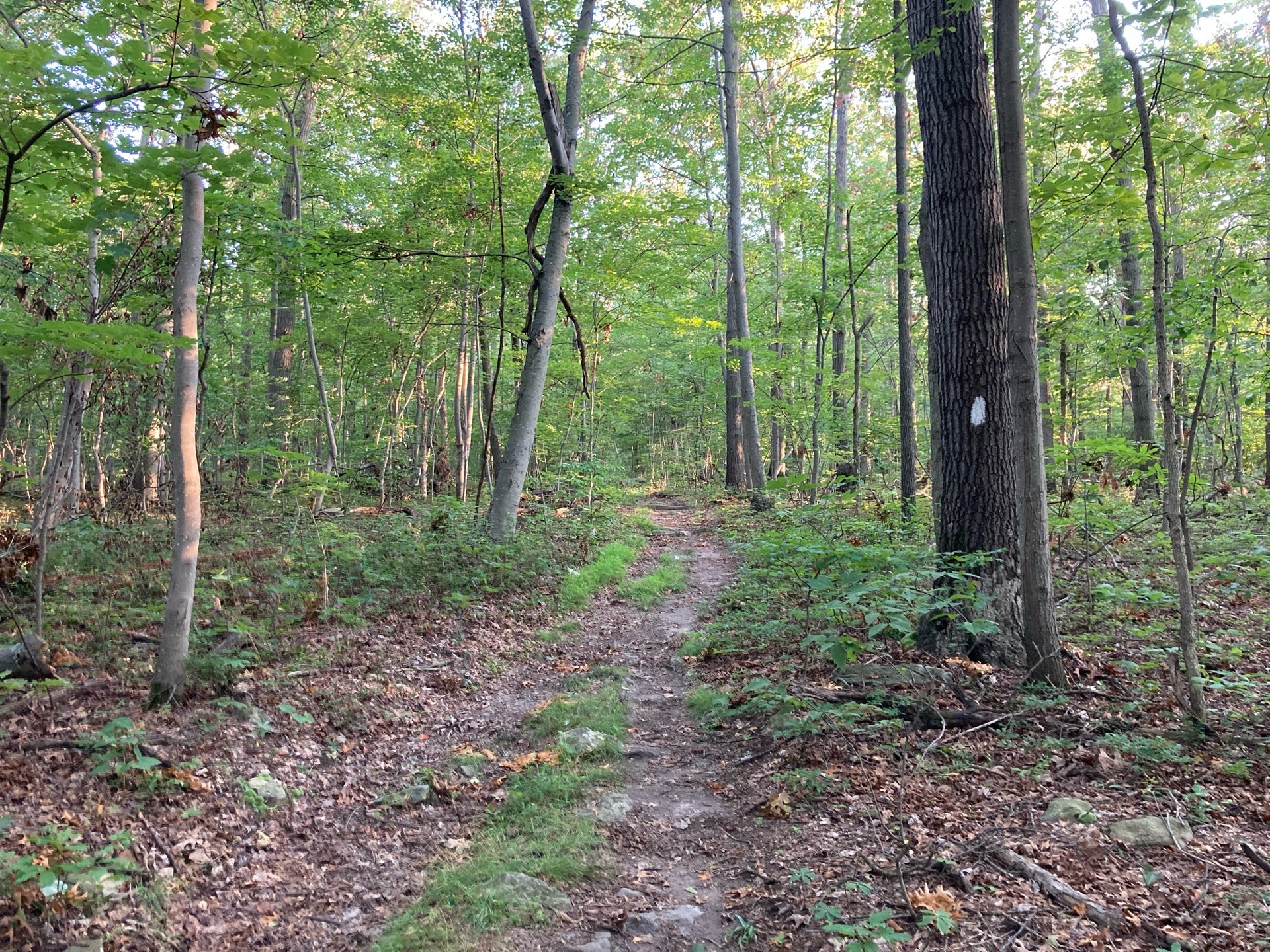Blue Ridge Summit, PA Map & Directions MapQuest