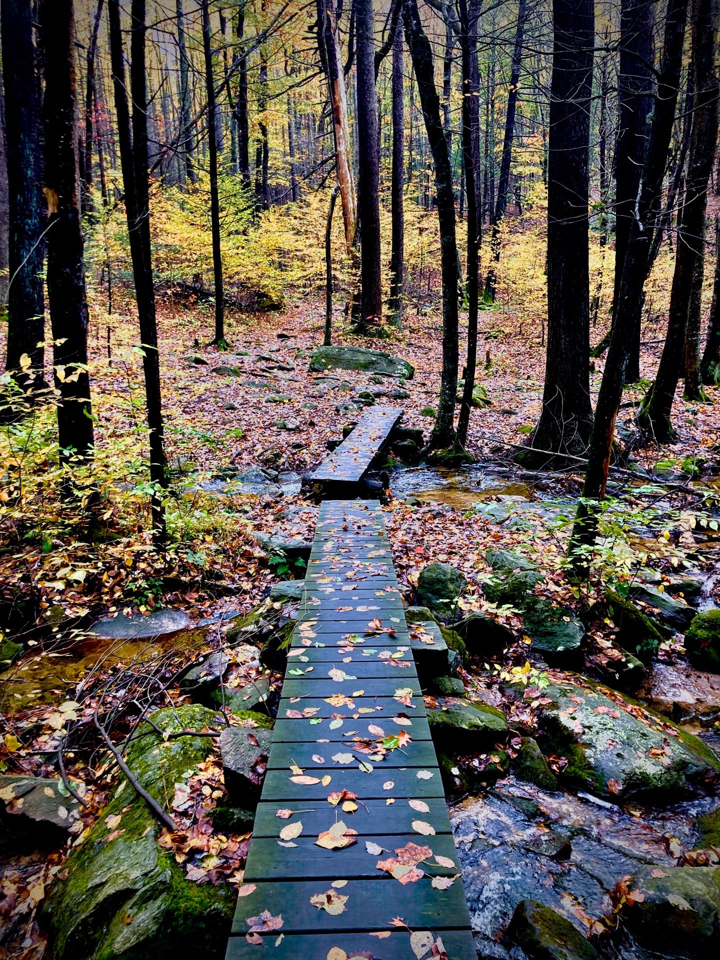 Michaux State Forest, 10099 Lincoln Way E, Greene Twp, PA MapQuest