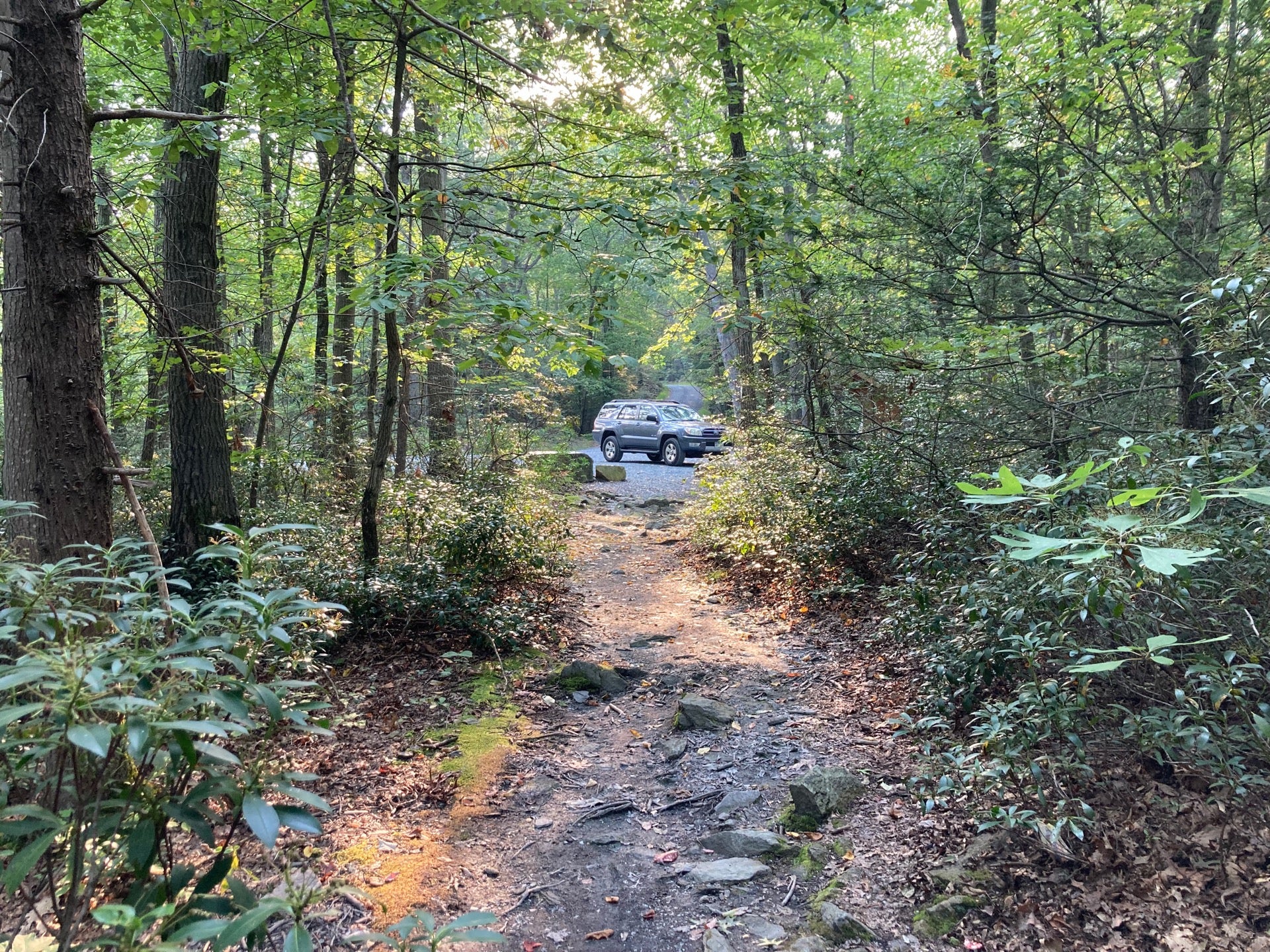 Michaux State Forest, 10099 Lincoln Way E, Greene Twp, PA MapQuest