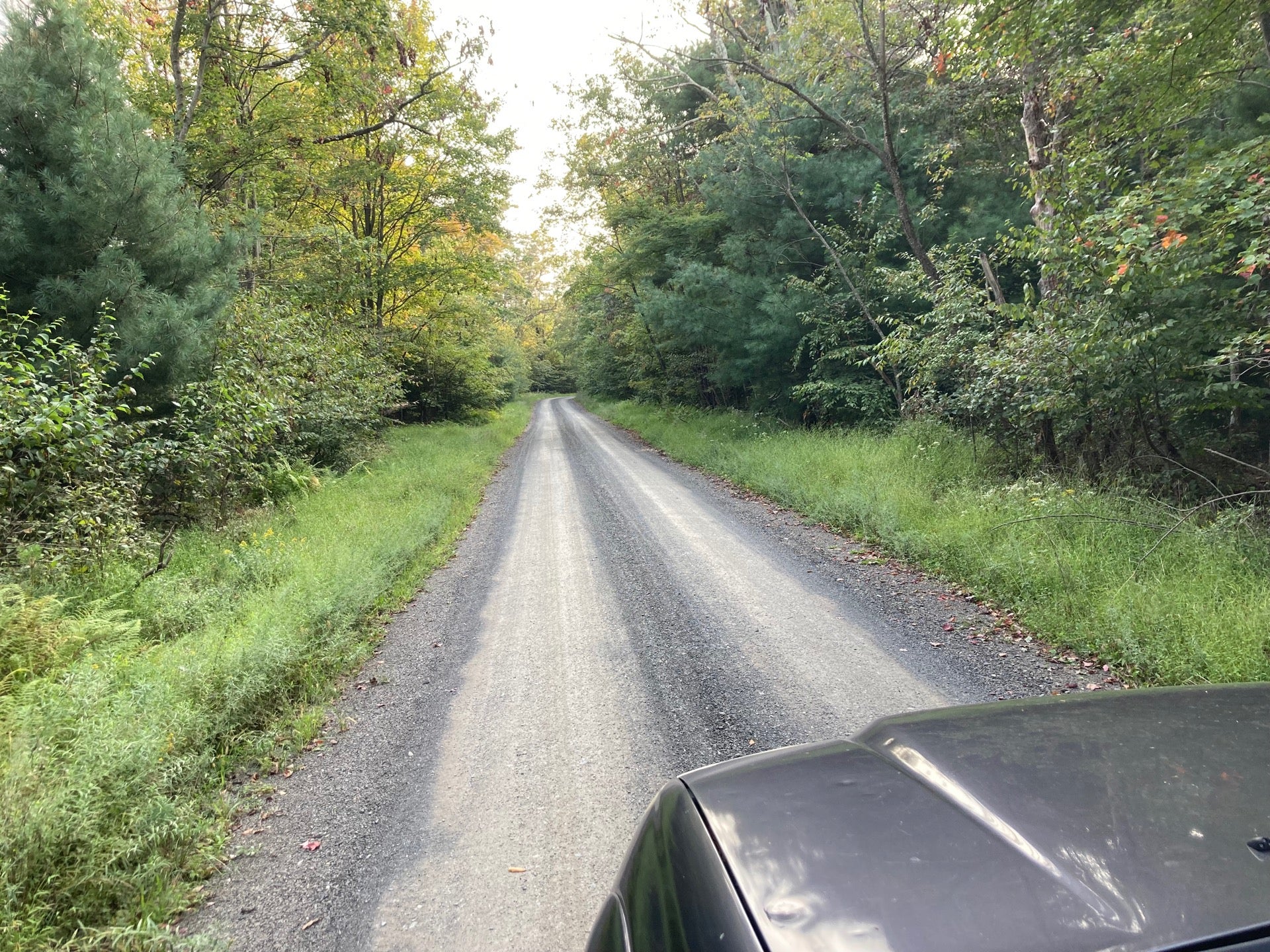 Michaux State Forest, 10099 Lincoln Way E, Greene Twp, PA MapQuest