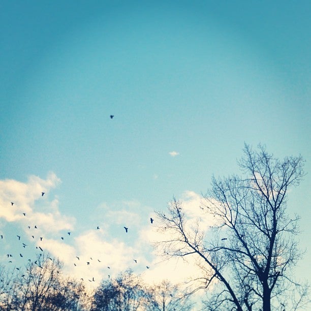 Broadview Park, Burnaby, BC, Parks MapQuest