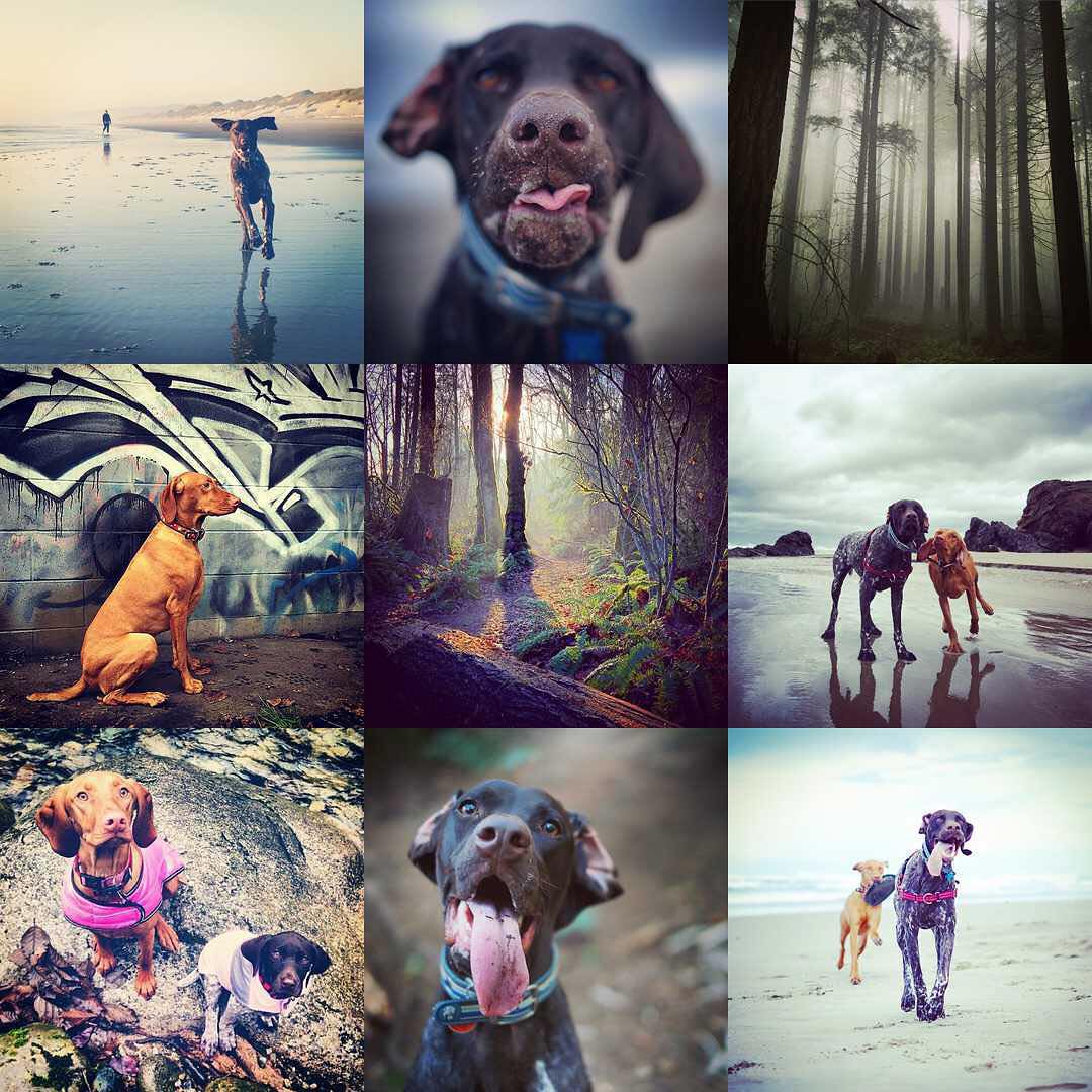 Broadview Park, Burnaby, BC, Parks MapQuest