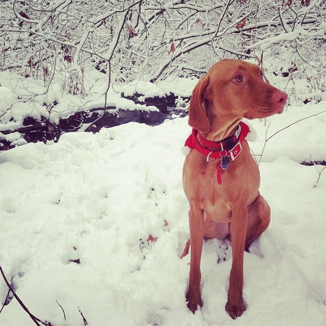 Broadview Park, Burnaby, BC, Parks MapQuest