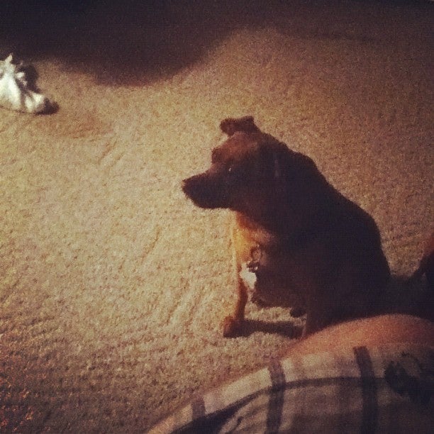 Lyndonville, NY Map & Directions MapQuest