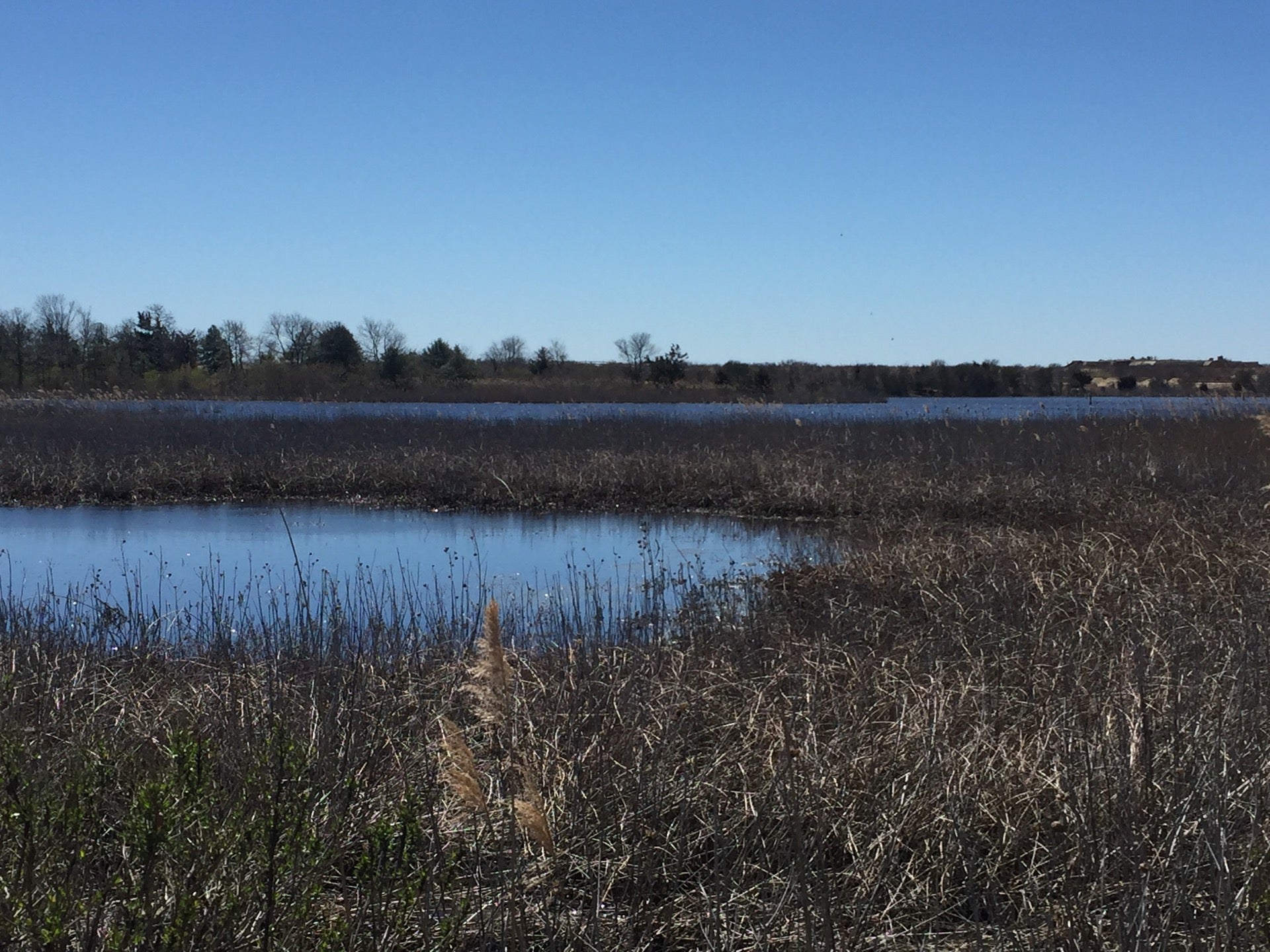 Cape May State Park Nature Trail, Cape May, NJ, Parks MapQuest