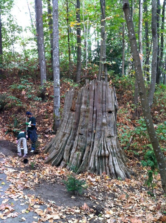 Broadview Park, Burnaby, BC, Parks MapQuest