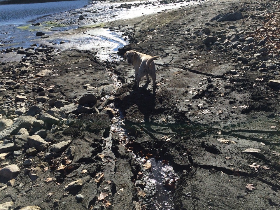 Bog Brook Reservoir, Brewster Hill Road, Brewster, NY, Marinas MapQuest