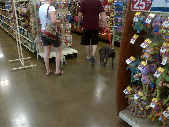 PetSmart 3850 W River Rd Tucson AZ MapQuest