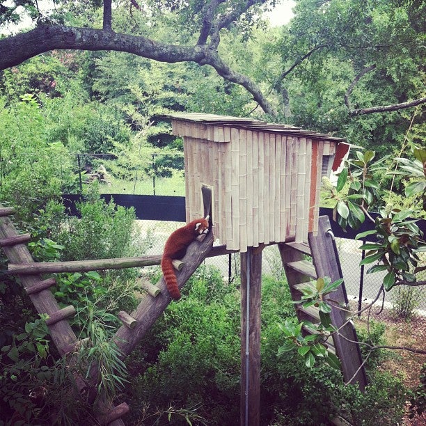 Red Panda Paddock, 3500 Granby St, Norfolk, VA, Zoos - MapQuest