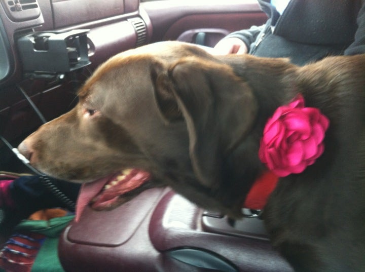 Horseheads Town Clerk, 150 Wygant Rd, Horseheads, NY MapQuest