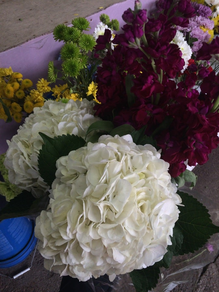 Fannin Street Flowers Houston Tx Best Flower Site