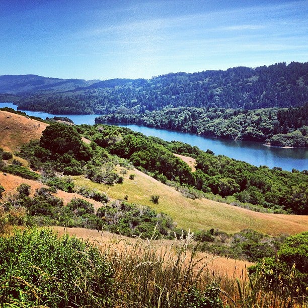 Sf Soup Co-Urban Bistro - CLOSED, 270 Lorton Ave, Burlingame, CA ...