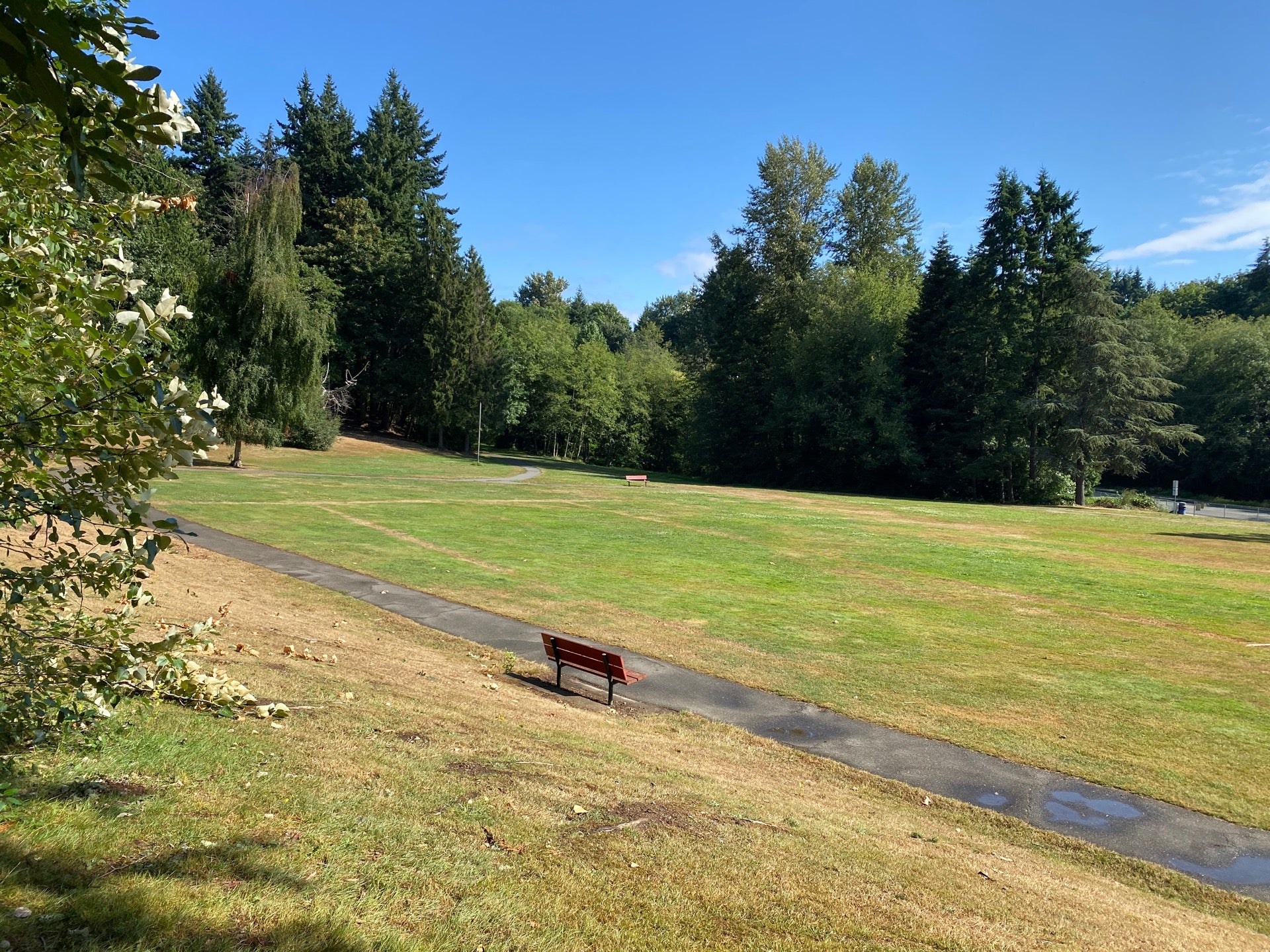 Terrace Creek Park, 23200 48th Ave W, Mountlake Terrace, WA