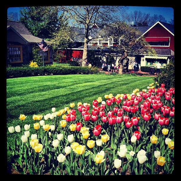 Peddler's Village, 2400 Street Rd, Buckingham Twp, PA, Gift Shops