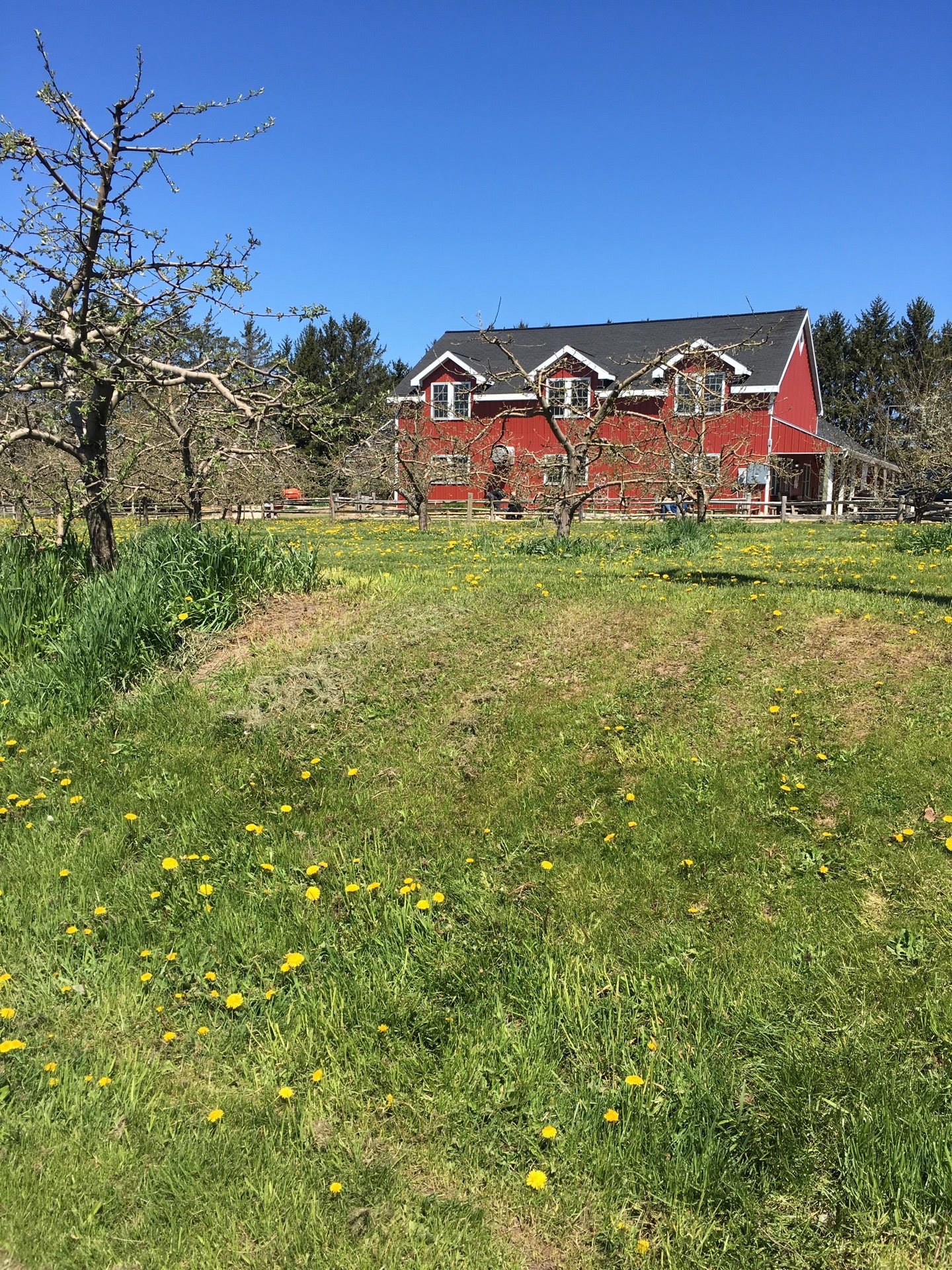 Whispering Orchards, W1650 CRMM, Mosel, Town of, WI, Cafe MapQuest