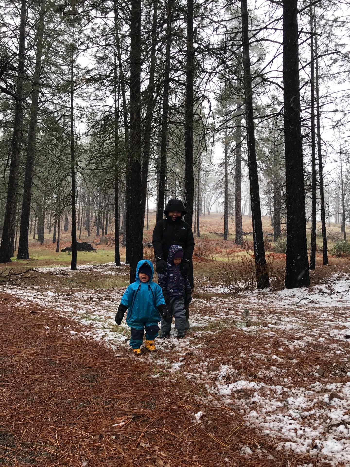 The Top of Cobb Mountain, State Hwy 175, Middletown, CA, Places MapQuest