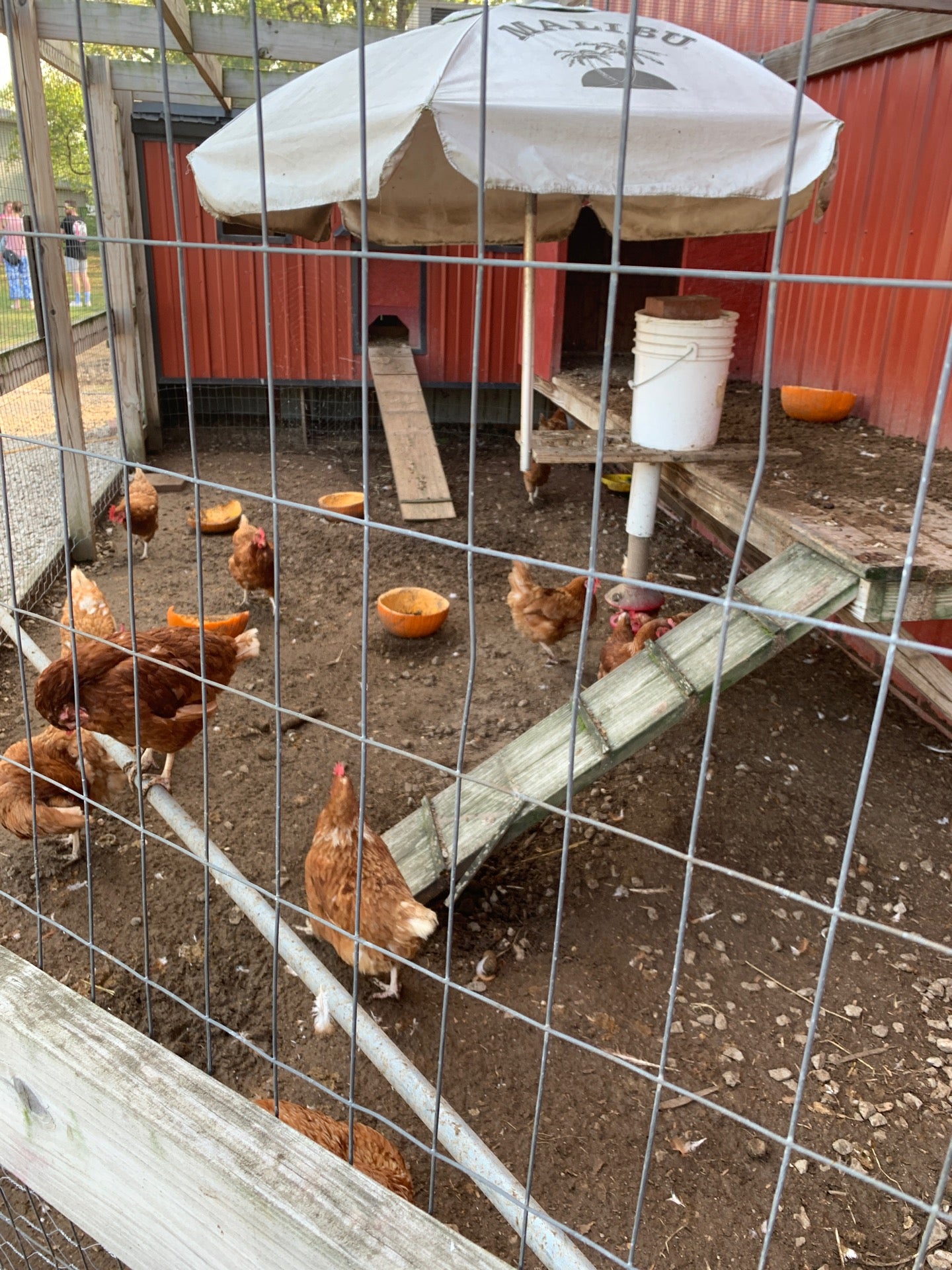 Bronkberry Farms, 18061 S Bronk Rd, Plainfield, IL, Farm Markets MapQuest