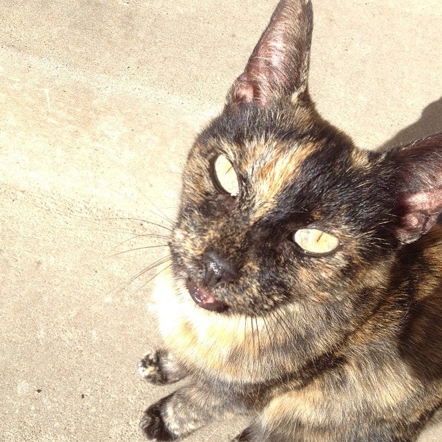 Richland, IA Map & Directions MapQuest