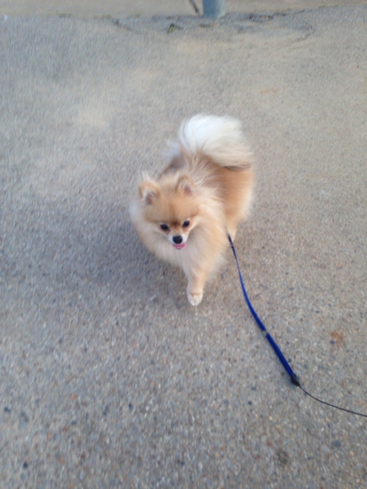 Class Schedules Prices and  Specials, 6777 Stage Rd, Bartlett, TN