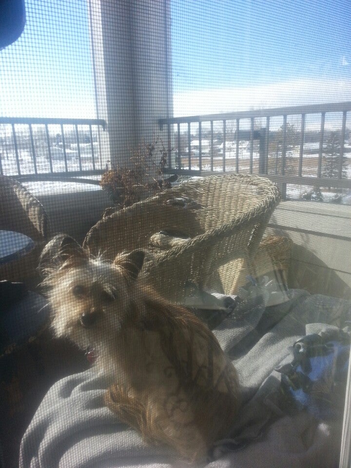 Caribou Apartments, 4135 Verbena Way, Fort Collins, CO MapQuest