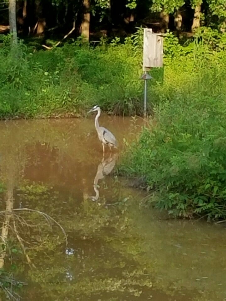 Kildaire Farm Greenway, Cary, NC MapQuest