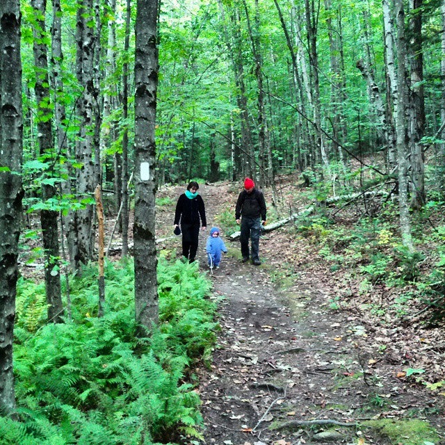 wheeler 2000 mountain bike