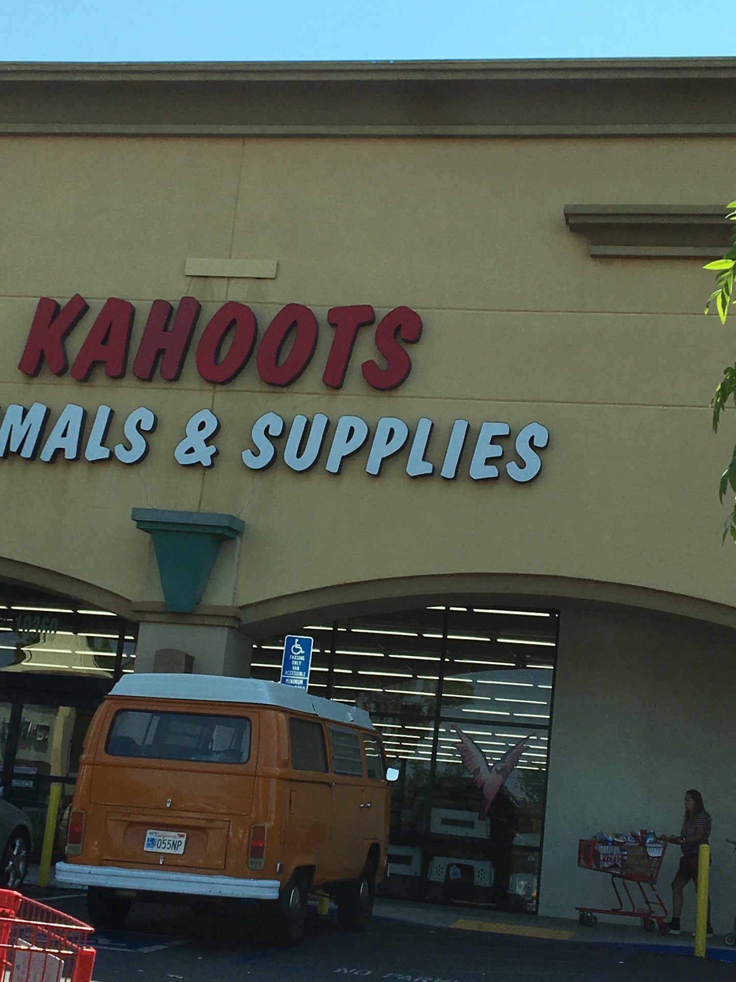 Kahoots, 10360 Mason Ave, Chatsworth, CA, Pet Supermarket - MapQuest