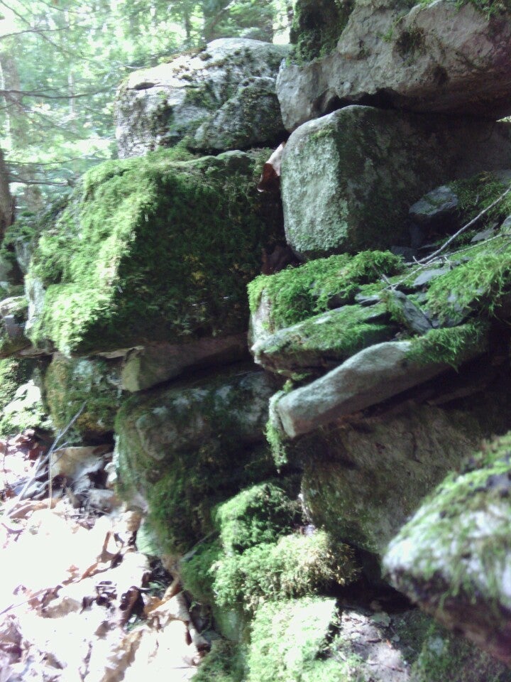 Berne, NY Map & Directions MapQuest