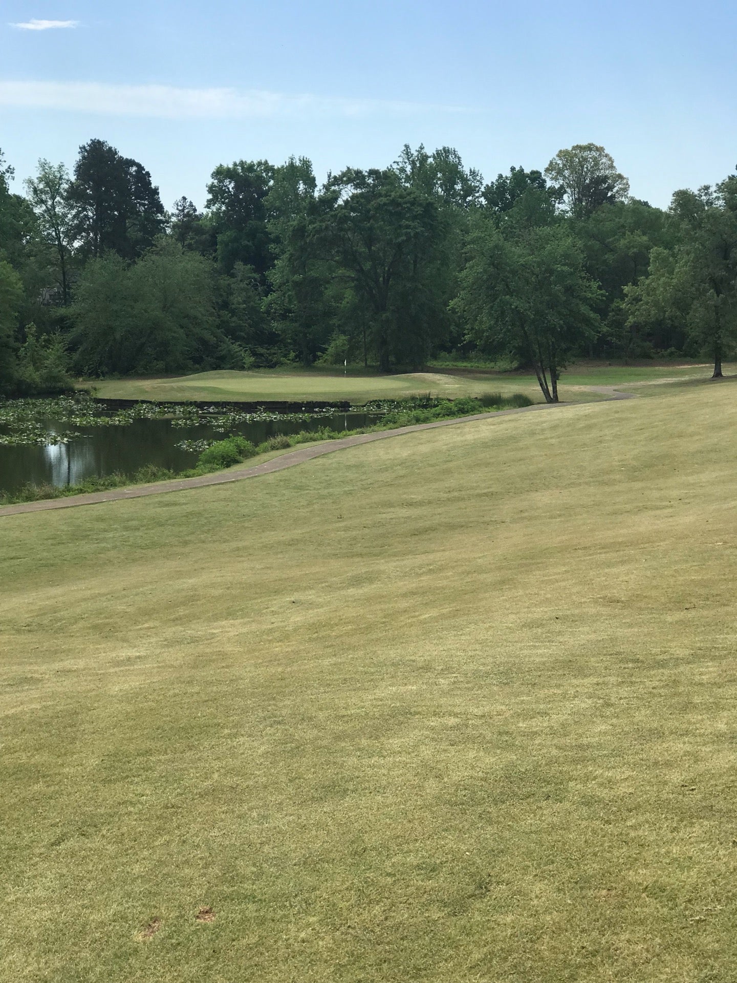 Greer Golf & Country Club, 2299 Gap Creek Rd, Greer, SC, Golf Courses