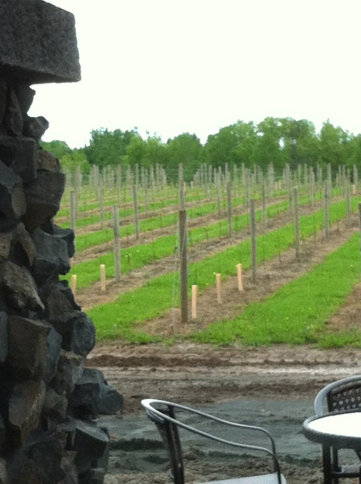 Centuria, WI Map & Directions MapQuest