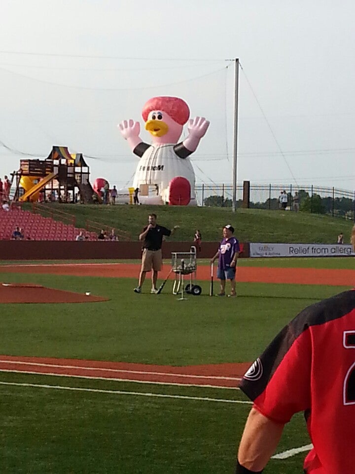 Florence Freedom's newest mascot? A water tower