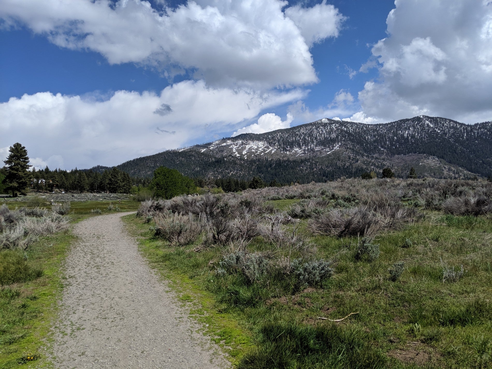 Lam Watah Trail, Stateline, NV, Trail MapQuest