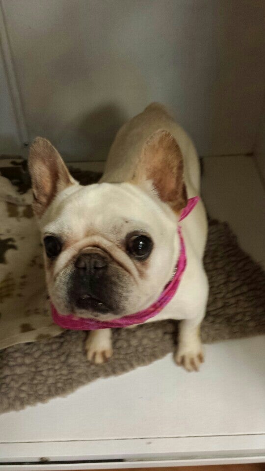 Best Pet Grooming in Raymond, North Dakota MapQuest