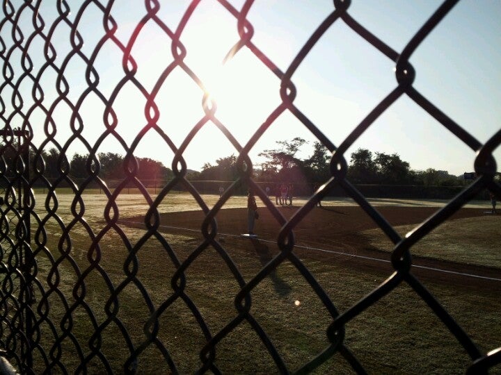 Safety Harbor Little League > Home