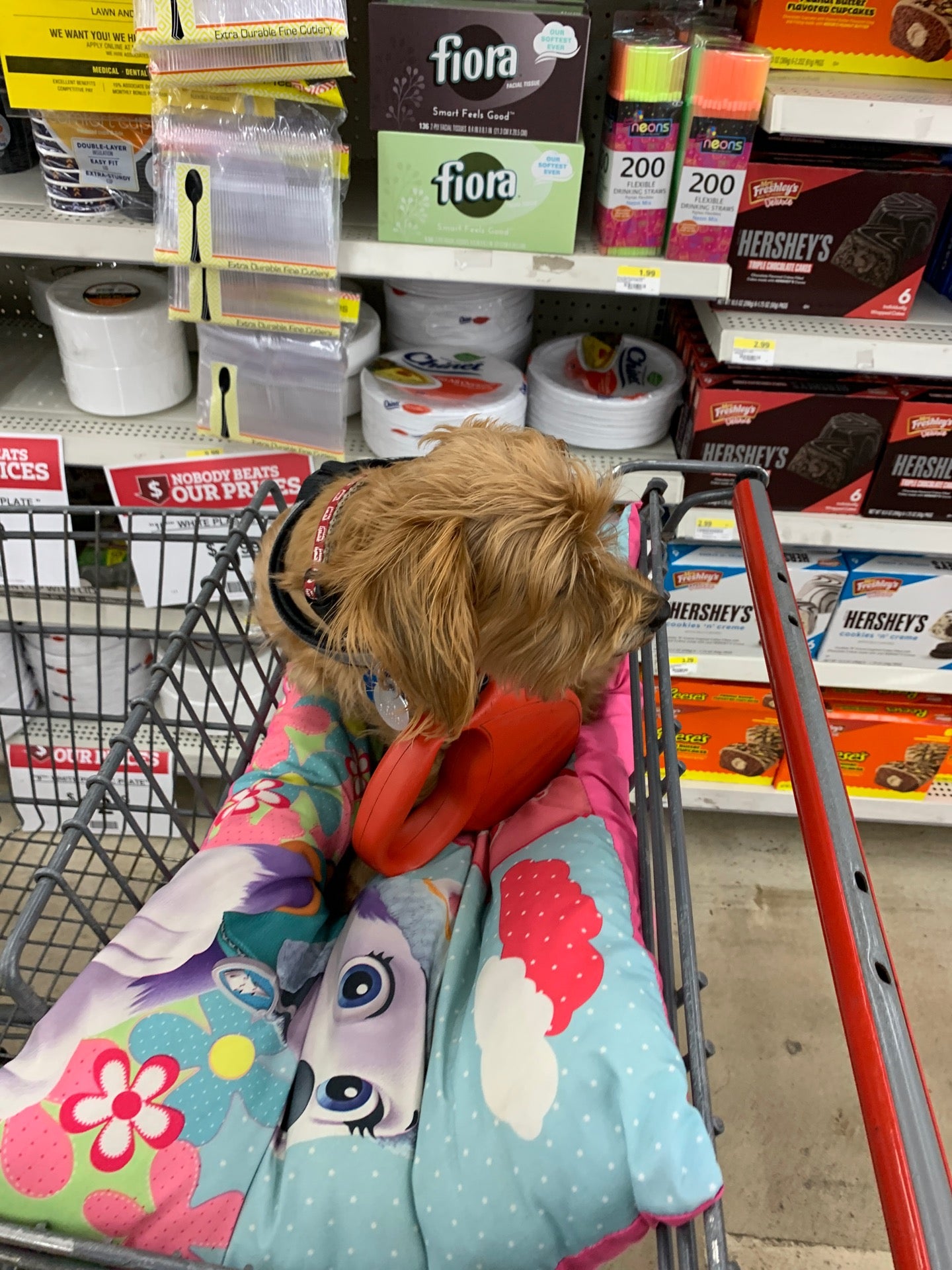 Rural King, 2185 Reeves St, Dothan, AL, Hardware Stores MapQuest