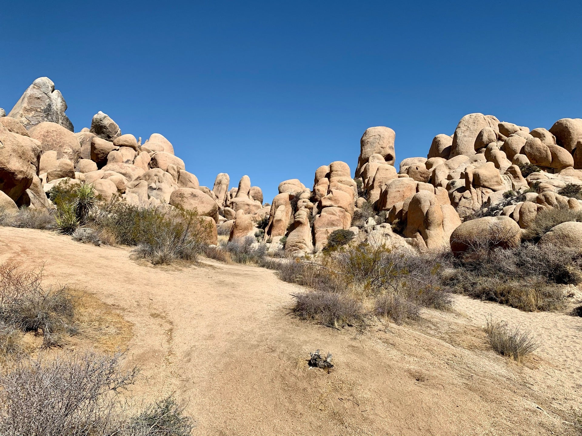 Arch Rock Nature Trail, Alta Mesa Dr, Joshua Tree, CA, Outdoor Sports ...