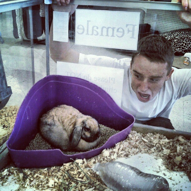 Big al's Pet Food Warehouse, 999 E Los Angeles Ave, Simi Valley, CA