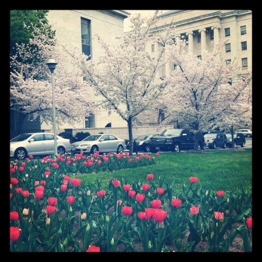 Rayburn Horseshoe, US Capitol, Washington, DC MapQuest