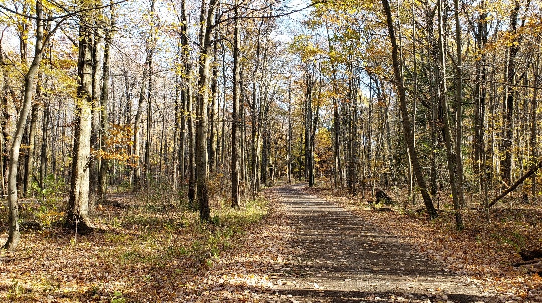 Harborcreek Community Park, Clark Rd, Erie, PA, Sports MapQuest