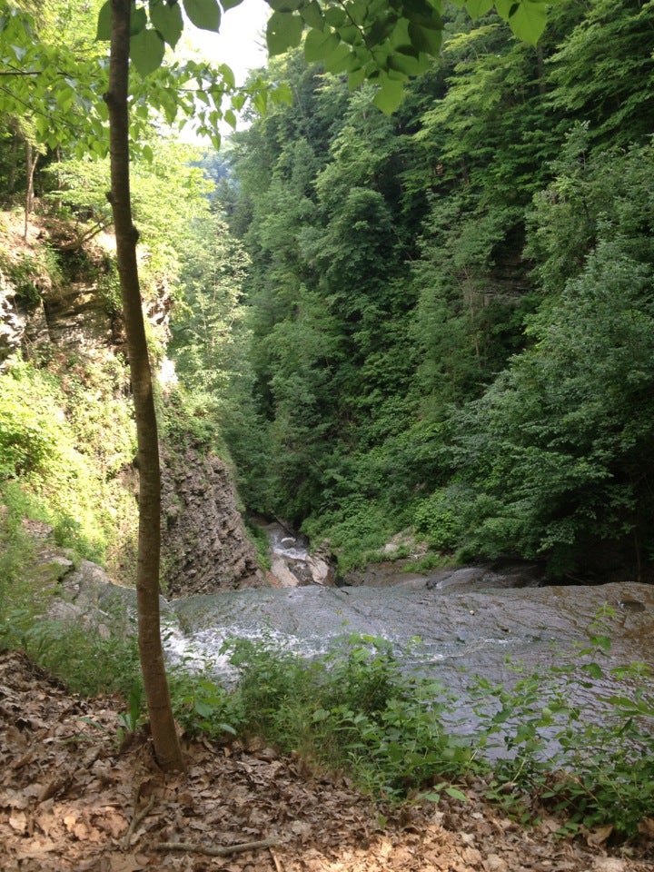 Wolf Creek Parking Lot, Park Rd, Castile, Town of, NY, Sports MapQuest
