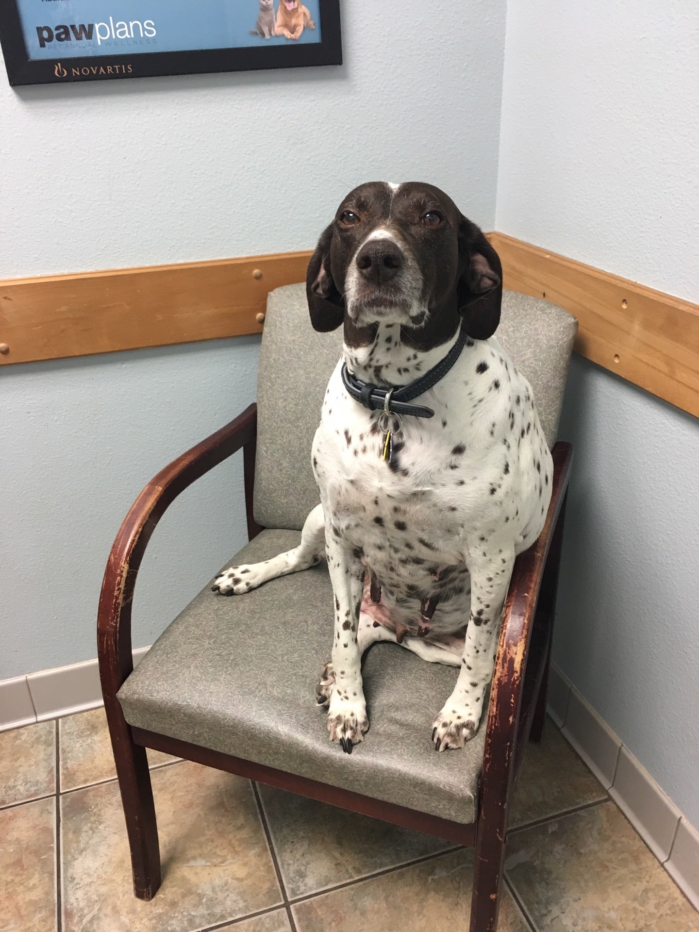 Galveston Vet Clinc, 2108 61st St, Galveston, TX MapQuest