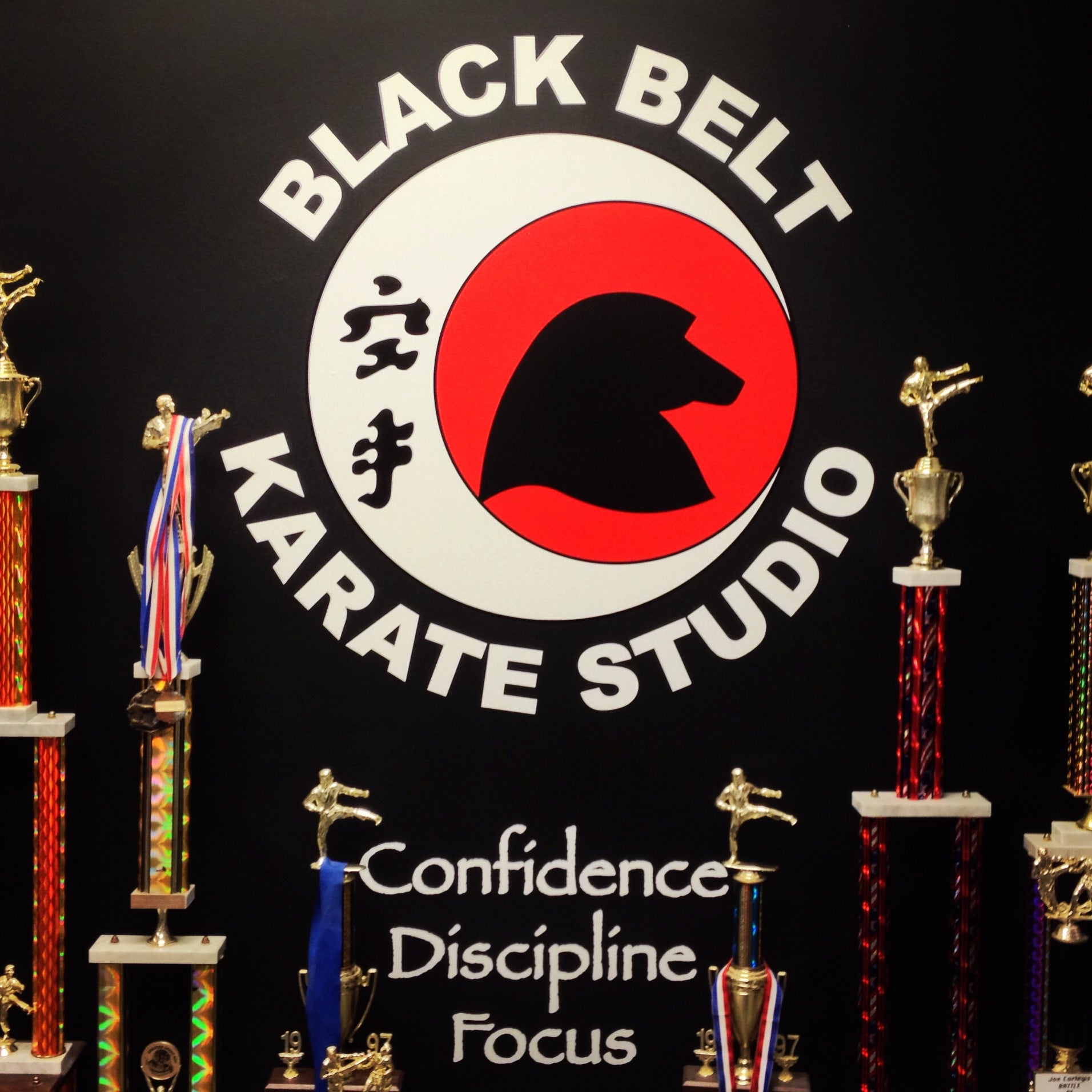 Black Belt Karate Studio, 5630 Washington Ave, Ste 3, Mount Pleasant