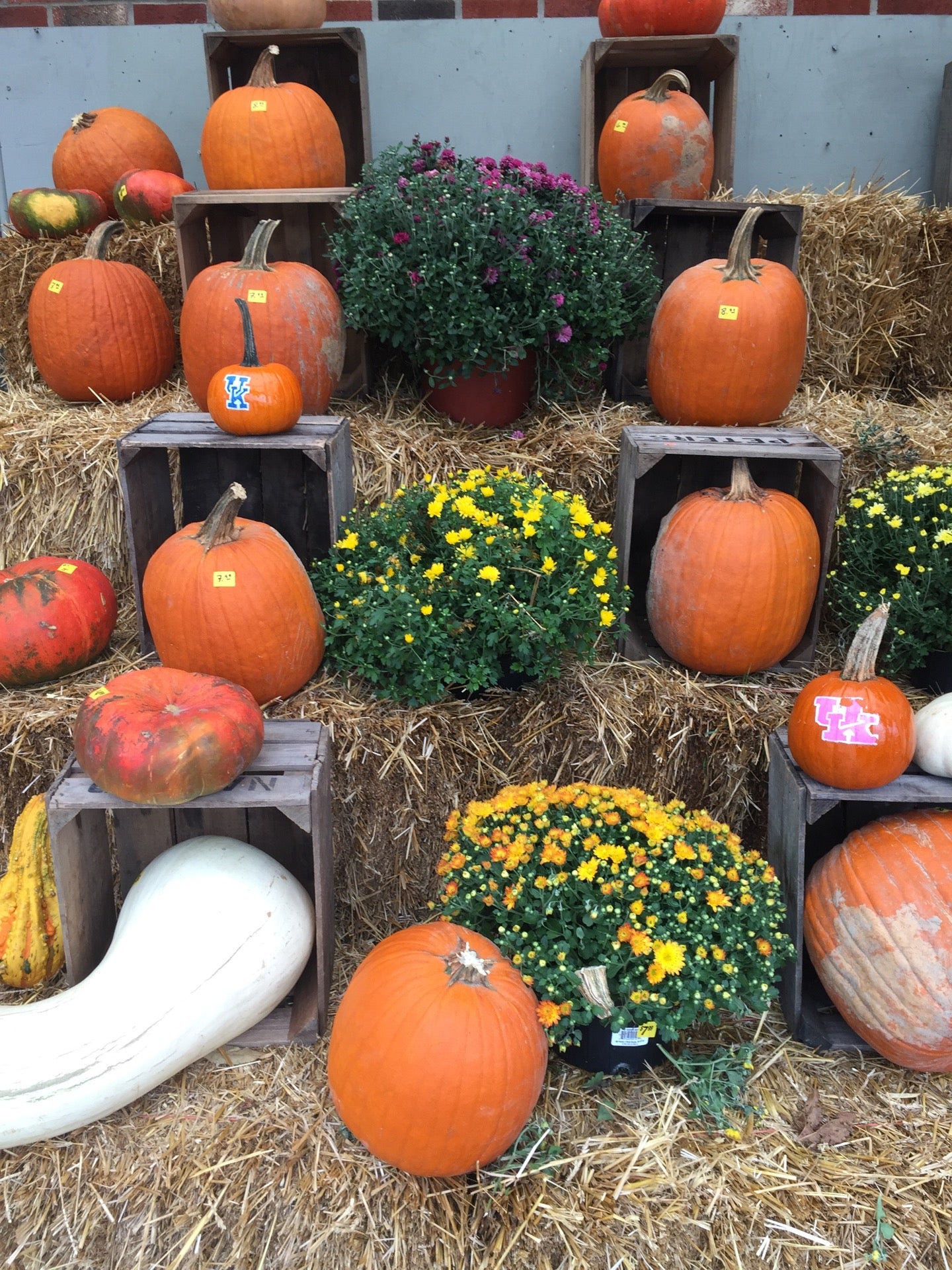 Paul's Fruit Markets Inc, 4946 Brownsboro Rd, Louisville, KY, Grocery