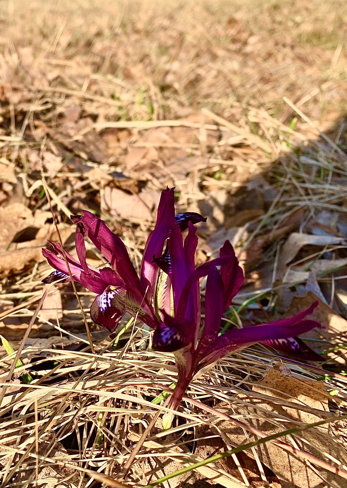 Bayville, NJ Map & Directions MapQuest