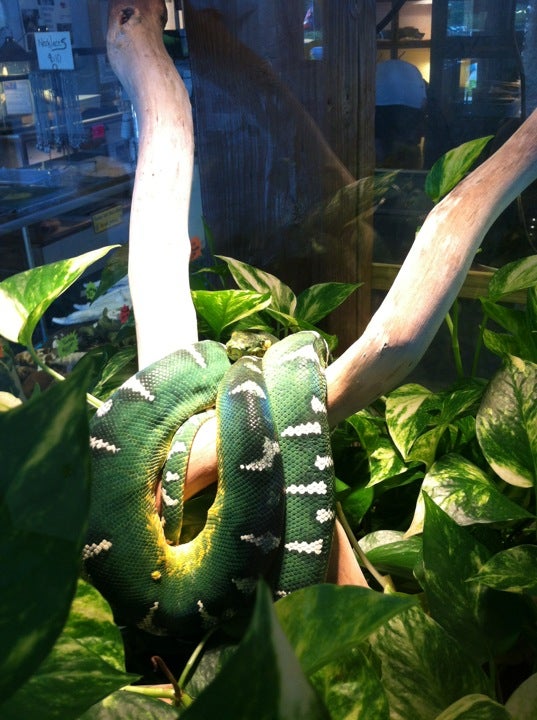 Best Zoo in Ballard, Washington MapQuest