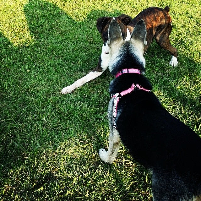 Brandon, WI Map & Directions MapQuest