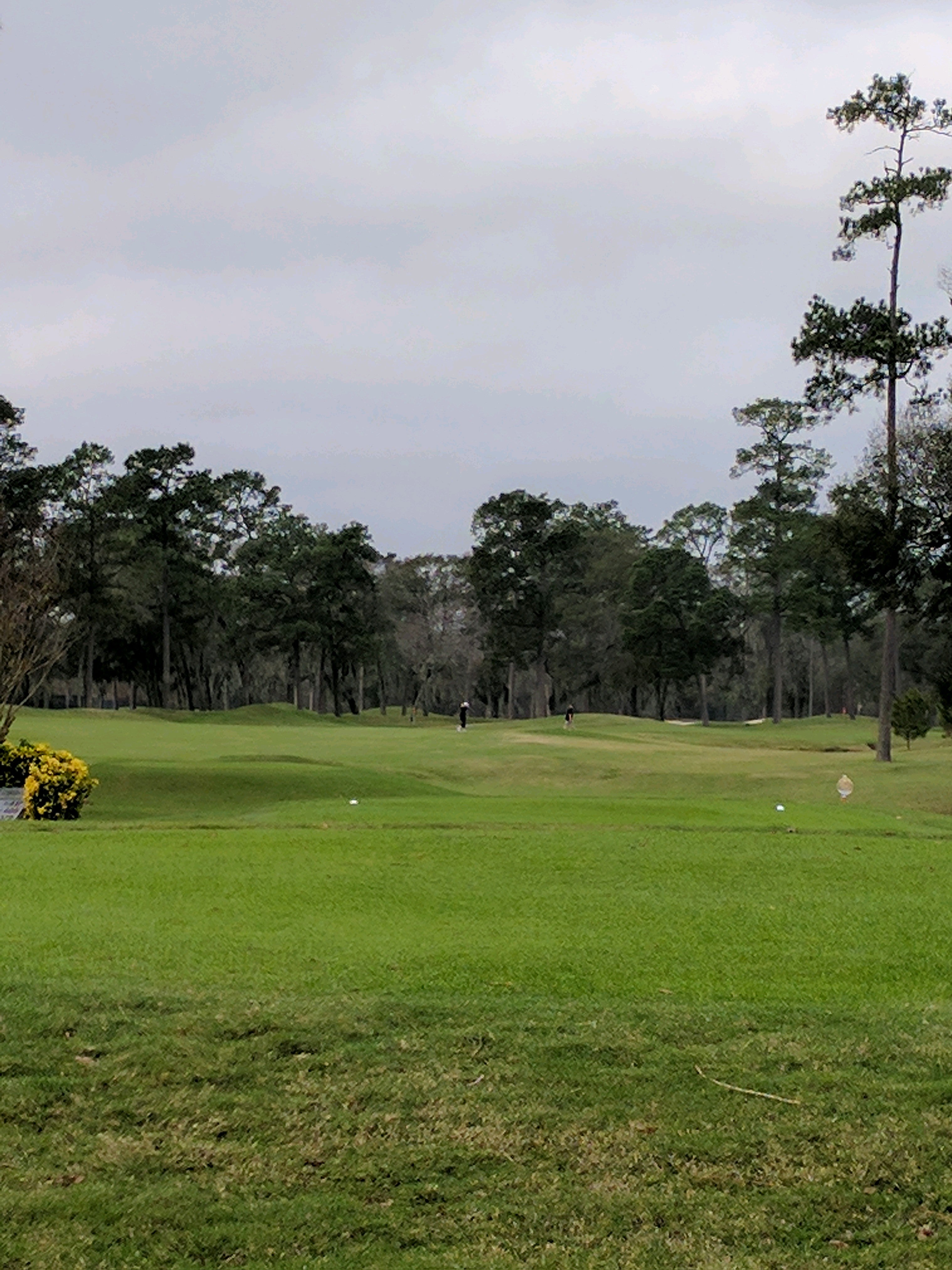 Northgate Country Club, 17110 Northgate Forest Dr, Houston, TX, Tennis  Courts Private - MapQuest