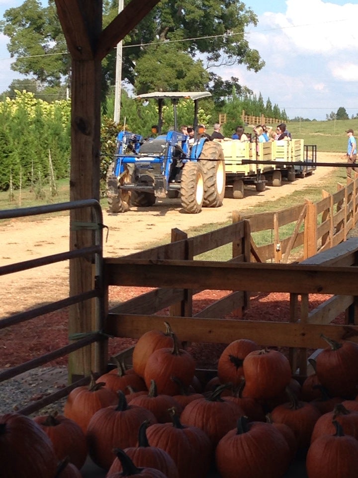 Kinsey Family Tree Farm & Plant Nursery, 7170 Jot Em Down Rd