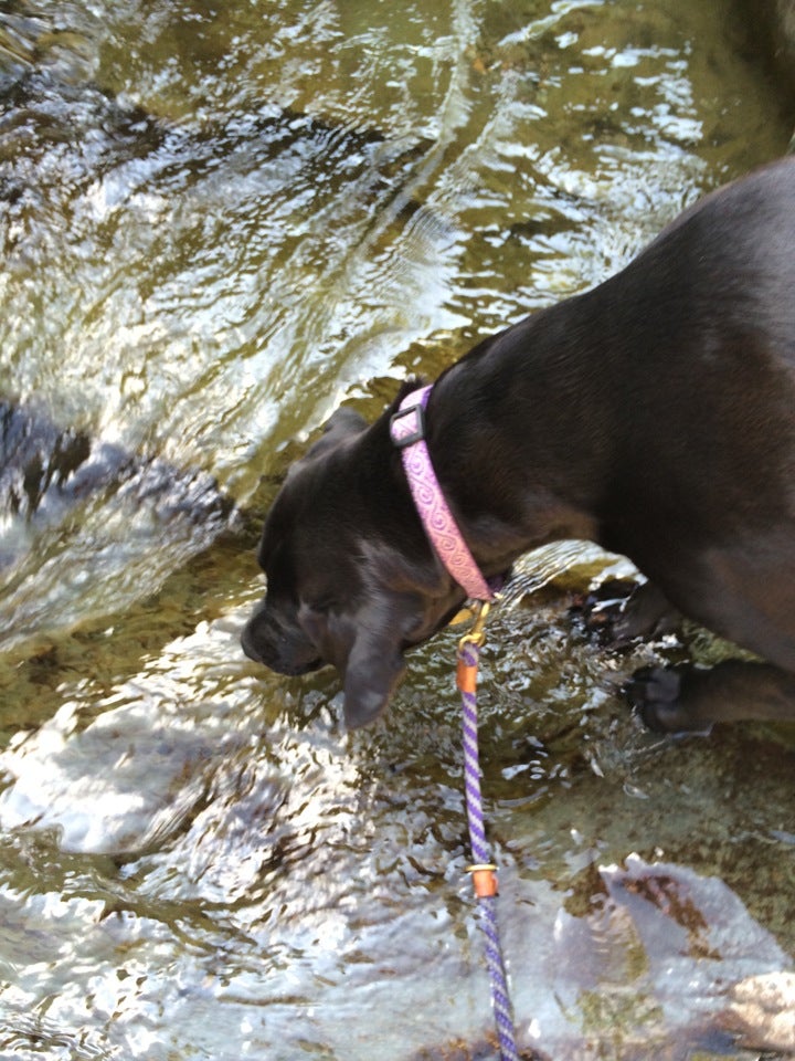 Northfield, VT Map & Directions MapQuest